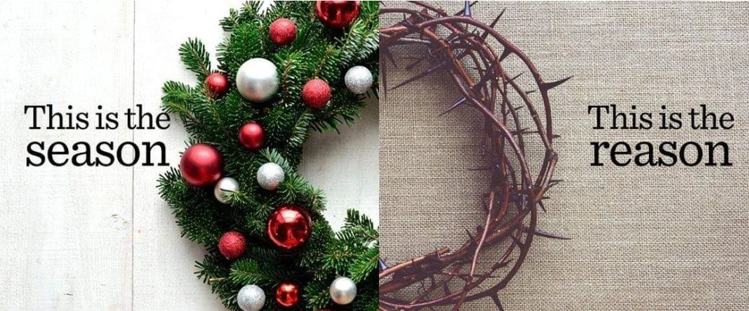 Zaremo Kikon tweet media