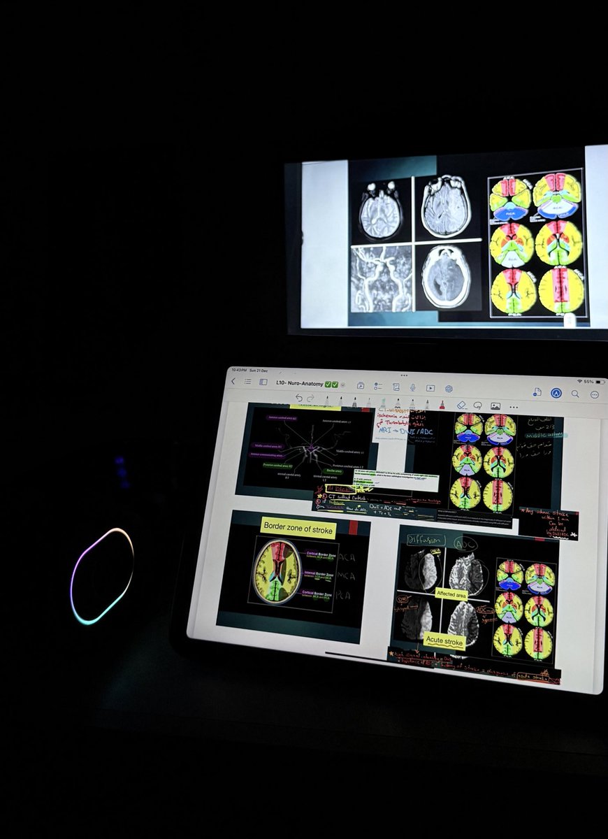 عسى أن تشفع لي
وأن تشفع لي تضحياتي
صحتي، عيوني، نومي، اعصابي
لمة أحبابي وأهلي
على أمل أن تُقدم خيرًا لآخرتي
