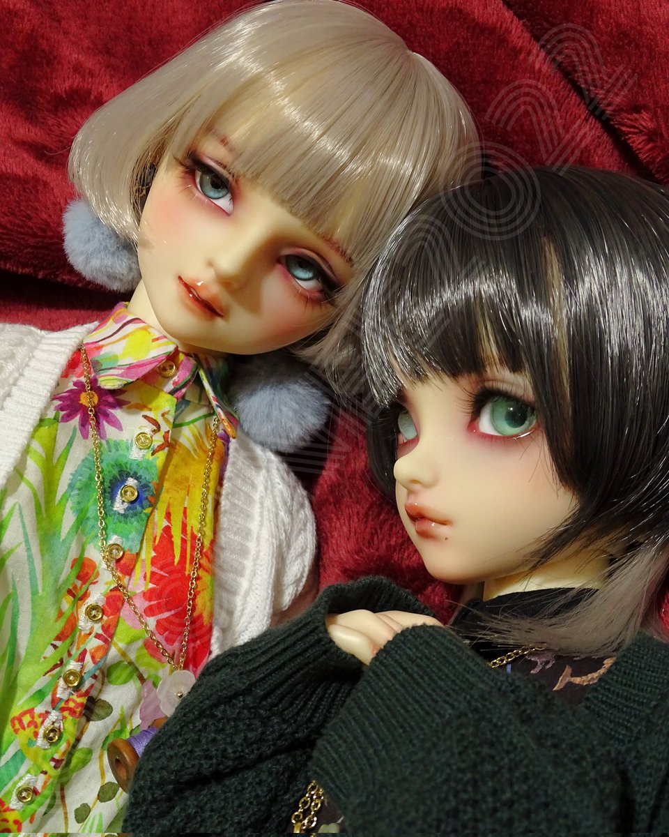 年末年始はお人形たちと遊びたいな
写真撮りたいな！
いつもありがとうの気持ち♡