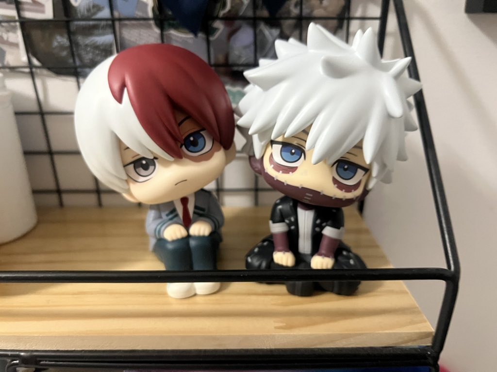 ammmyturtle's tweet image. My babies