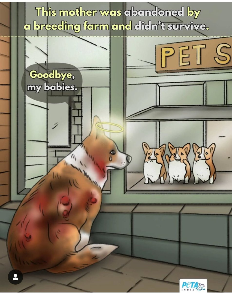 命の売り買い 命の店頭販売はいらない

ペット産業は動物の子宮を金に替える
動物は金儲けの道具じゃない
動物は繁殖の機械じゃない

ペットショップの裏側に目を向けて！

#命の店頭販売いりません
👇ペットショップに行く前に読んでね
eva.or.jp/stopinochinoha…