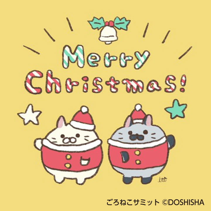 ごろねこサミット イトウ【公式】 tweet media