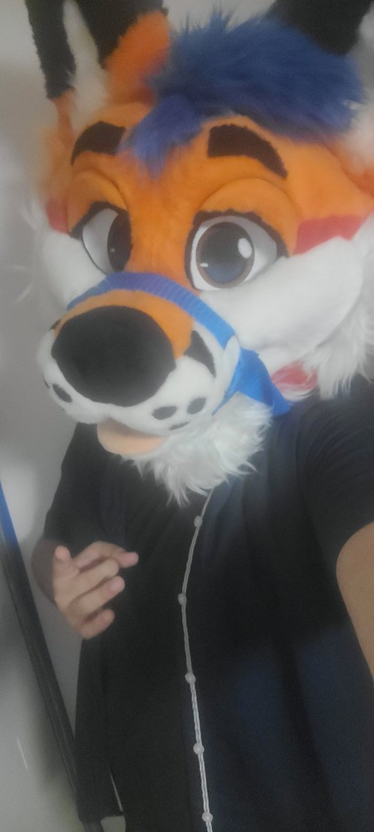 ~Ferfox ❤🐾 tweet media