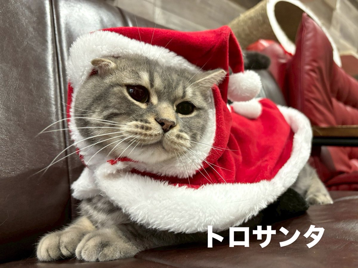 🔔🎄Merry Christmas🎄🔔 生憎の雨のクリスマスですね 【合言葉】は