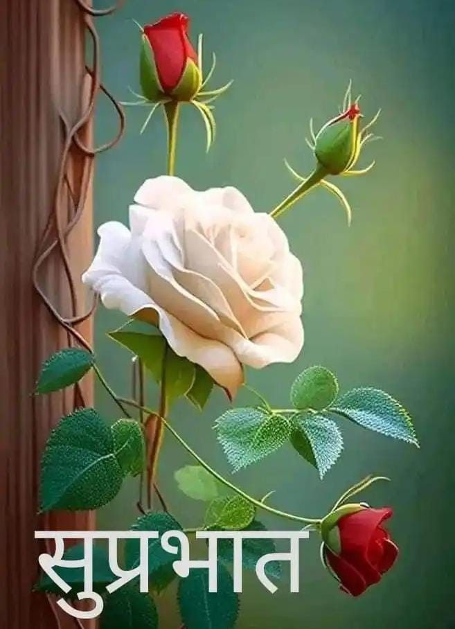 M.V.S.Rao(Dinesh) tweet media