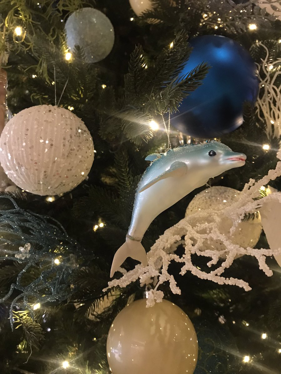 emiko_0307's tweet photo. 🎅メリークリスマス🎄 https://t.co/9S40zASoZ3