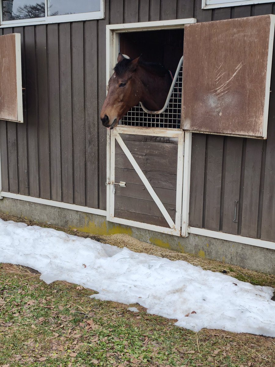 alfaquq's tweet photo. ブラストワンピース https://t.co/RH8Z3Wkbwd