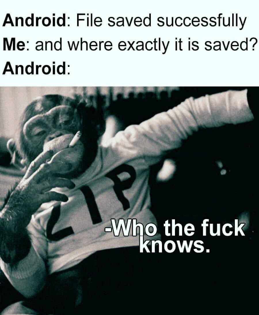 miniapeur's tweet image. 