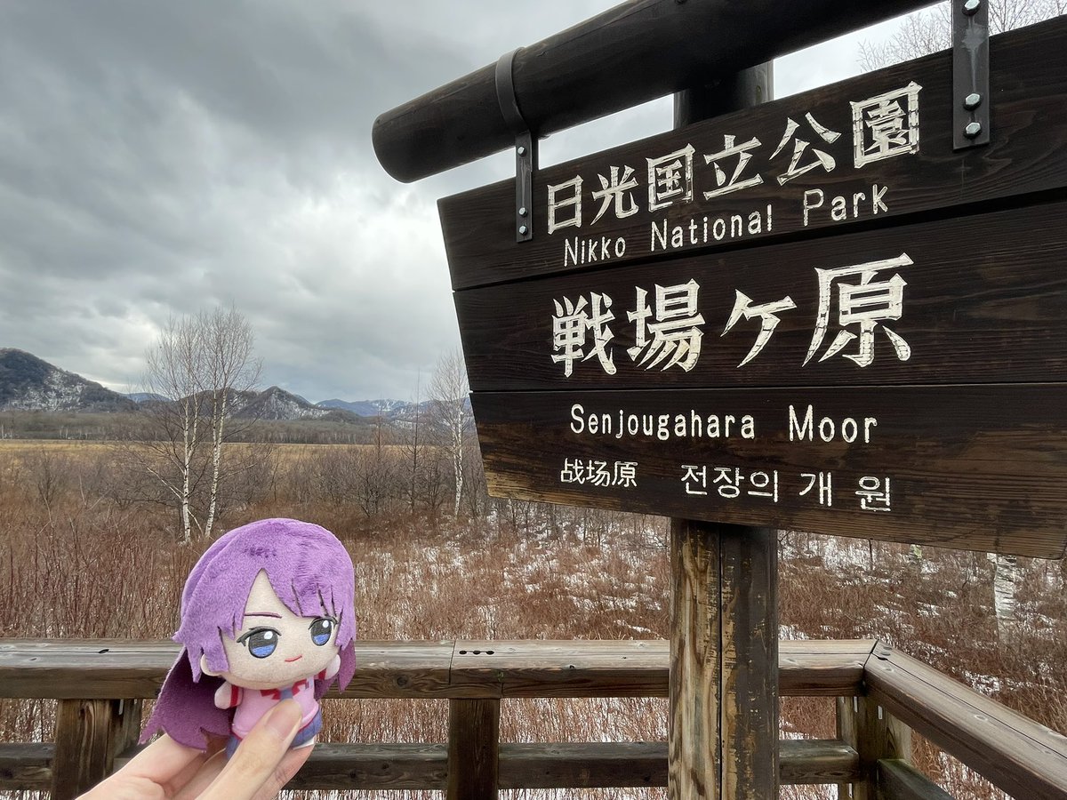 pokozaurusu's tweet image. 戦場ヶ原、戦場ヶ原だよ
戦場ヶ原、戦場ヶ原だよ