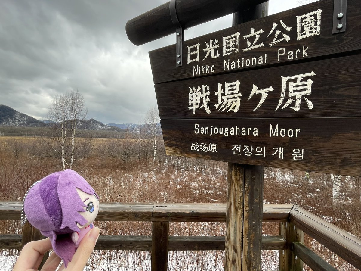 pokozaurusu's tweet image. 戦場ヶ原、戦場ヶ原だよ
戦場ヶ原、戦場ヶ原だよ