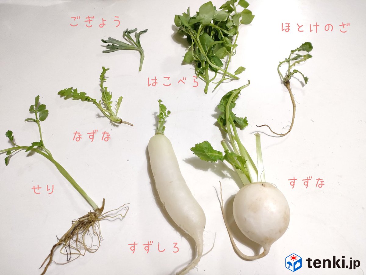 tenkijp's tweet image. 【今日は #人日の節句】
1月7日は五節句のひとつ「人日の節句」で、別名「#七草の日」。七草がゆで無病息災を願う日です。
お正月で疲れた胃をいたわりましょう。寒さが続くので、体調管理も忘れずに。
皆さんは春の七草を言えますか？