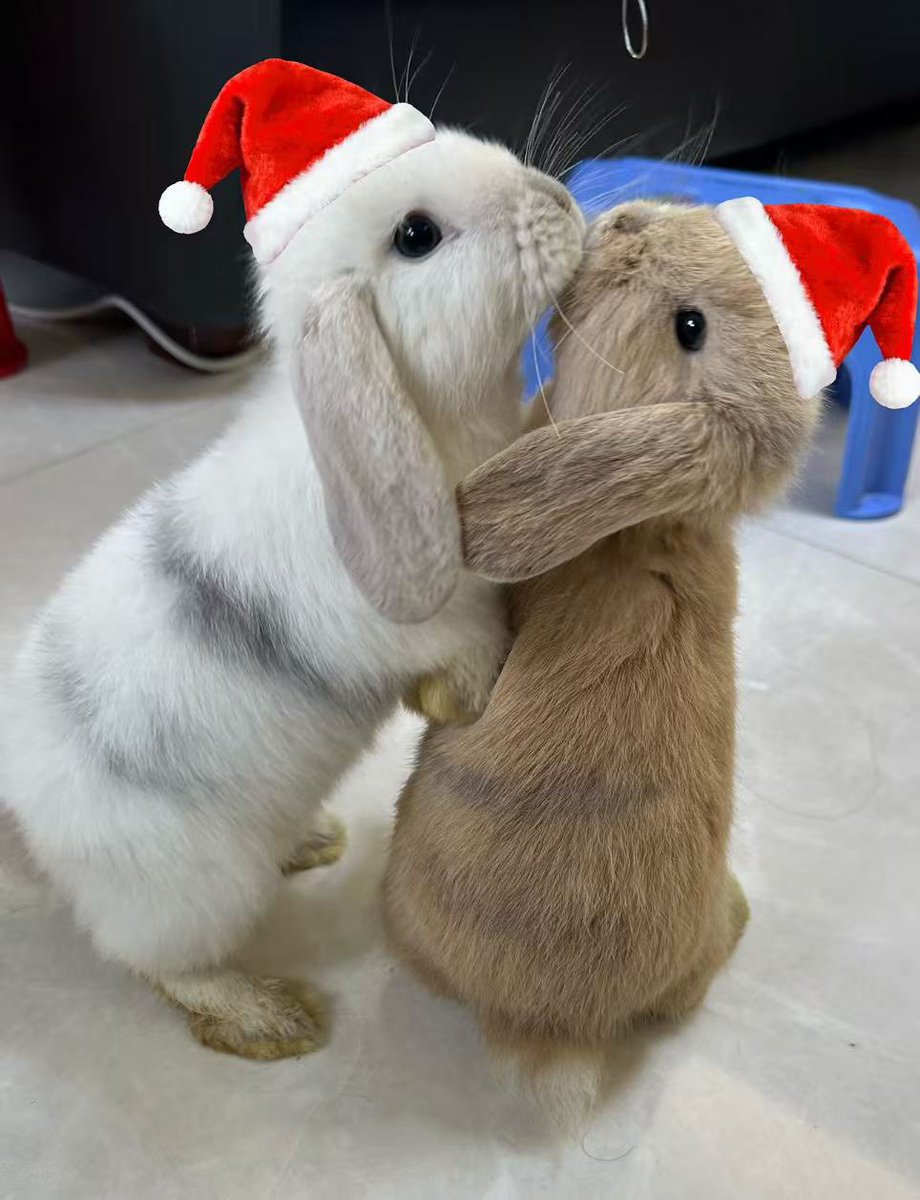 慈悲度魂落 tweet media