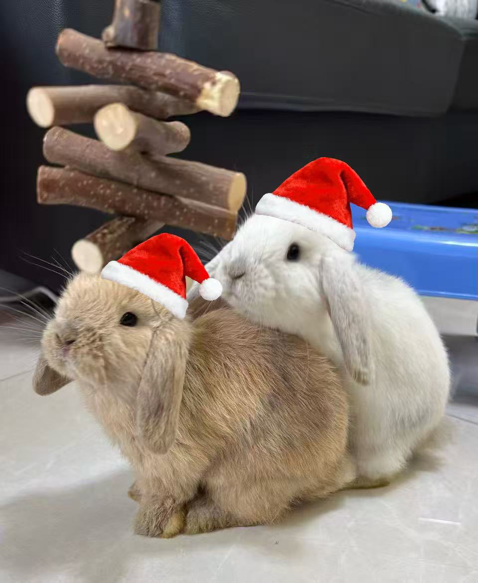 慈悲度魂落 tweet media