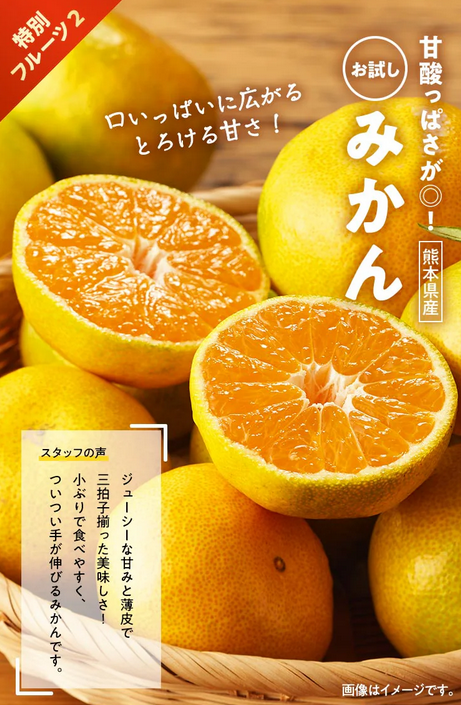 お得】長野県産シャインマスカット＆熊本県産みかん入り！Oisixの1980