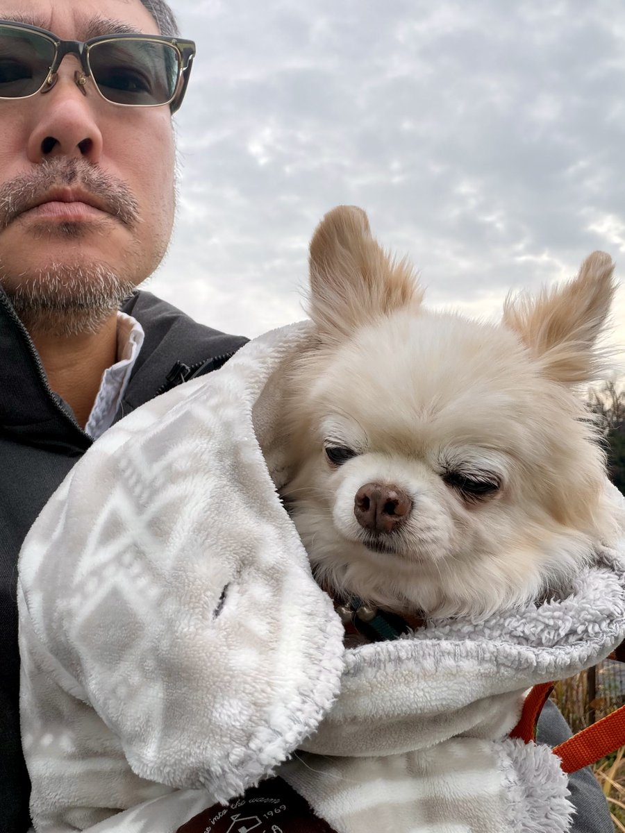 瀬戸内 寂村(ｼﾞｬｸｿﾝ) (@rebornsetouchi) / Posts / X