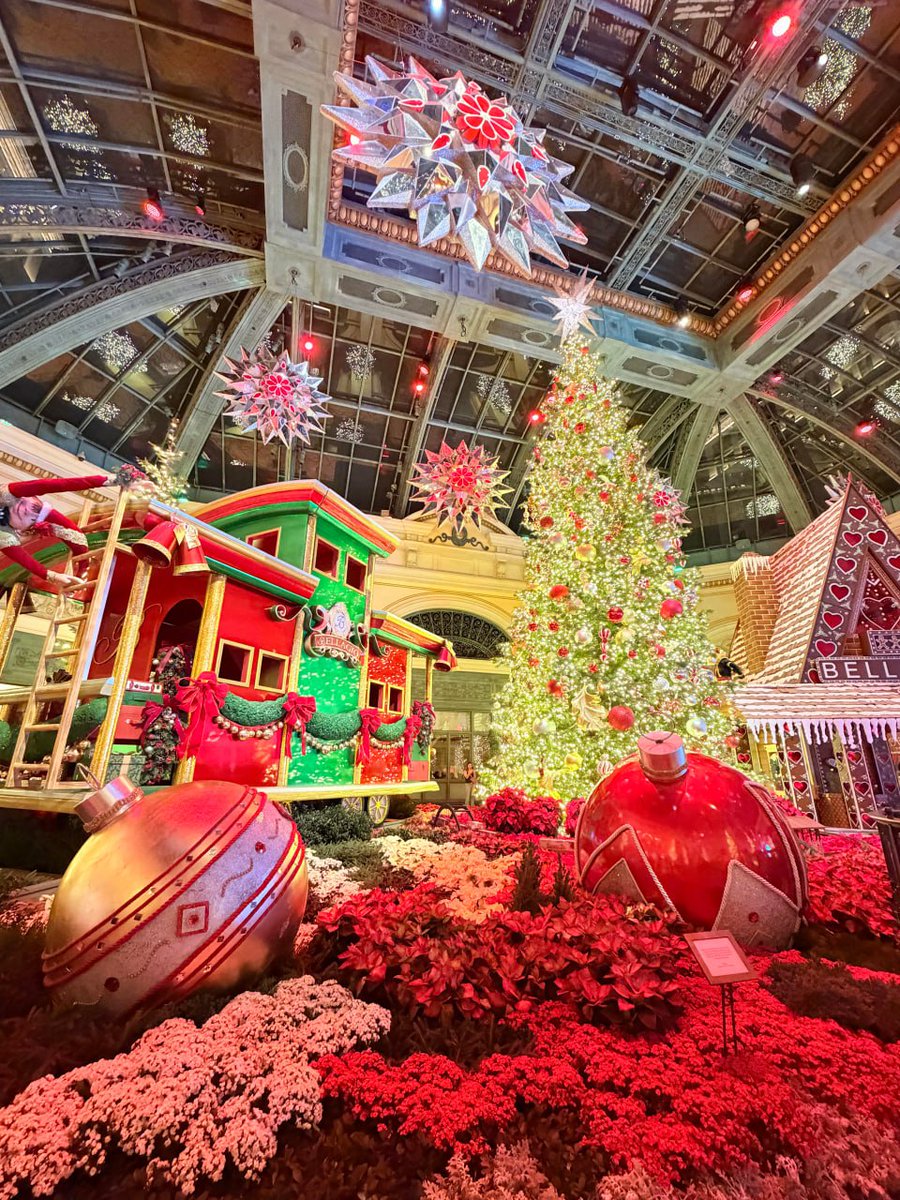 Wish you a Merry Christmas