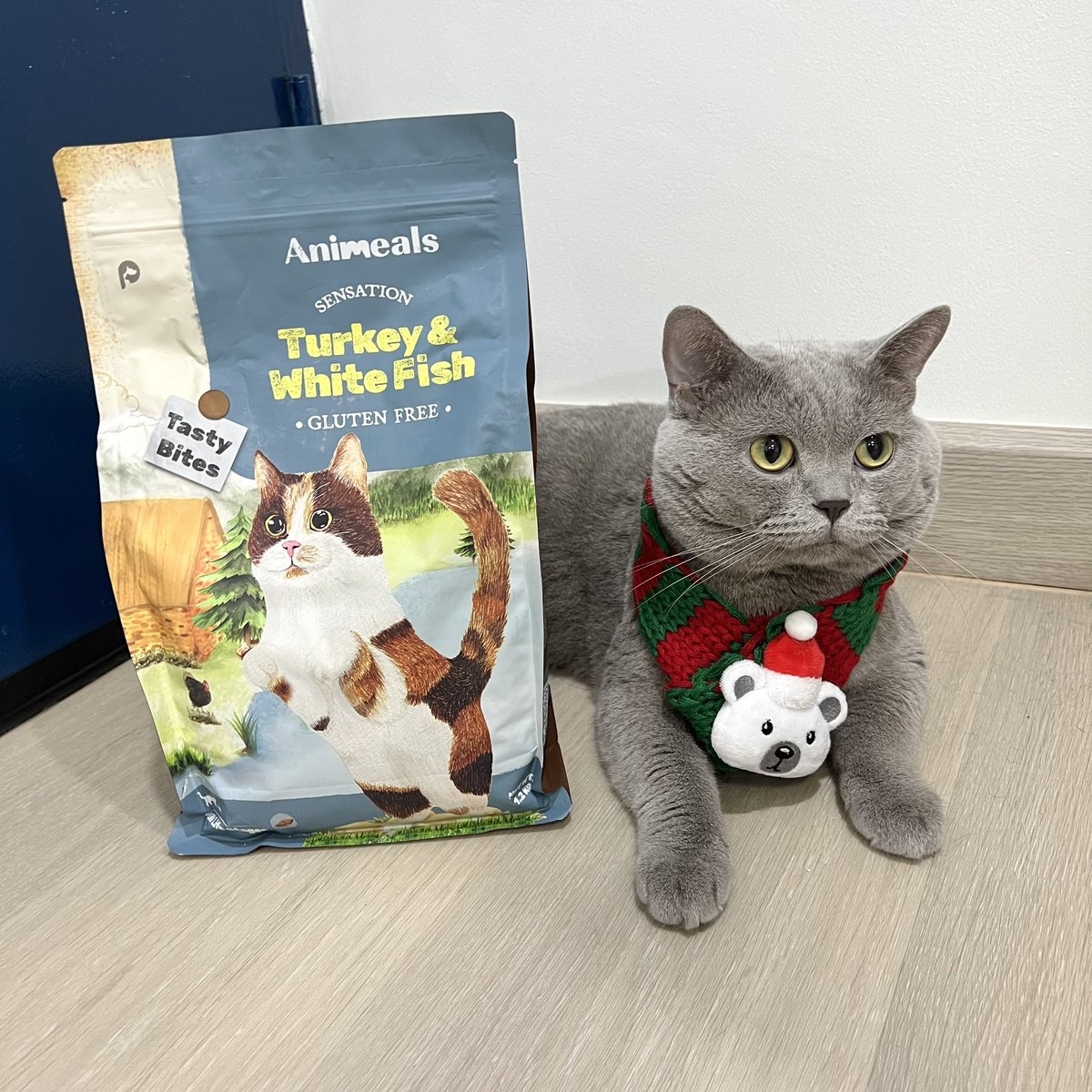 imnayeonshyshy's tweet photo. คริสต์มาสนี้🎄🎁อยากเอาใจลูกชายด้วยการให้ Animeals สูตร Sensation ไก่งวงและปลาเนื้อขาว 🦃🐟 
จากแมวที่เลือกกินสุดๆ พอเจอแอนิมีลส์เท่านั้นแหละกินเกลี้ยง กลิ่นหอมถูกใจลูกชายสุดๆ มีโปรตีนแน่นๆและ Bata Glucanที่ช่วยเสริมภูมิคุ้มกันอีกด้วย แม่เลิฟ💕
#Animeals #fromfarmtobowl #อาหารแมว https://t.co/VFRCkdjrDl
