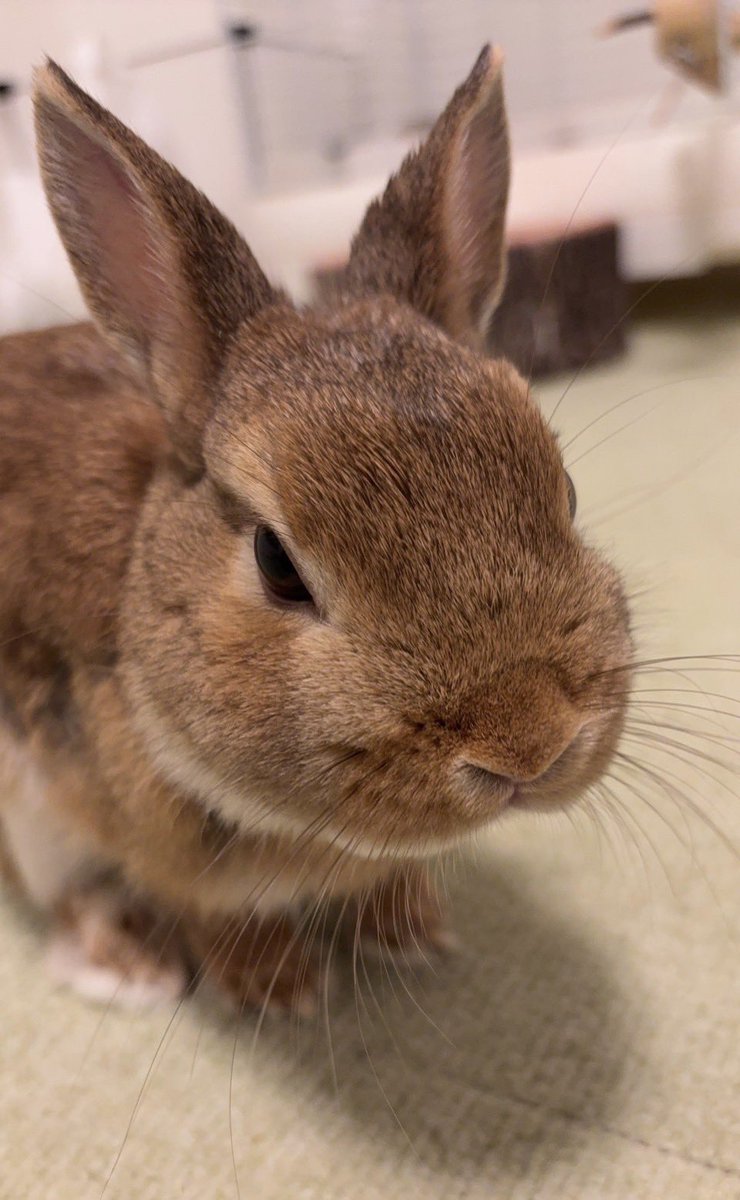 For Christmas I want a dilf to crack me