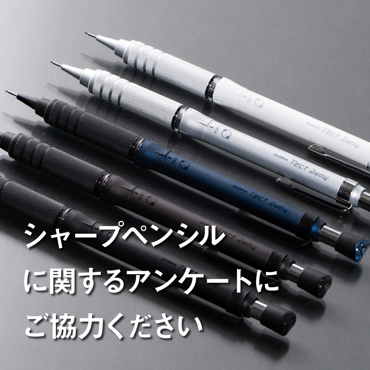 ゼブラ (@suraripen) / Posts / X