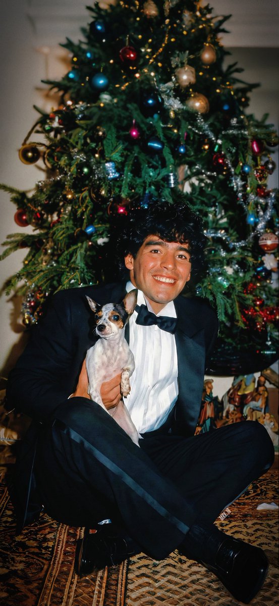 Feliz Navidad para todos. 🥂