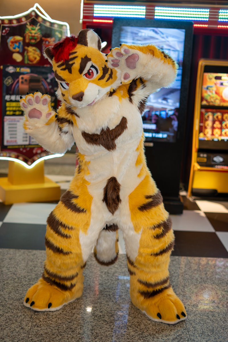 五郎丸 GOROMARU🔜Furrymosa tweet media
