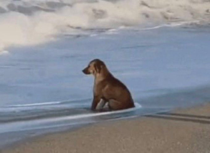 lj007eth's tweet image. From fantasy to success, it may be one step away or out of reach. If you persist, everything is possible.

从幻想到成功，可能是一步之遥，也可能遥不可及，如果你坚持，一切皆有可能
#DEPLAY  #AiDP @deplaydotfun @aidpstore