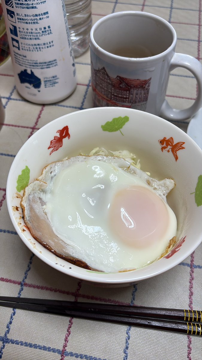 ⭐️ くまこです くま子 (@kuma8j) / Posts / X