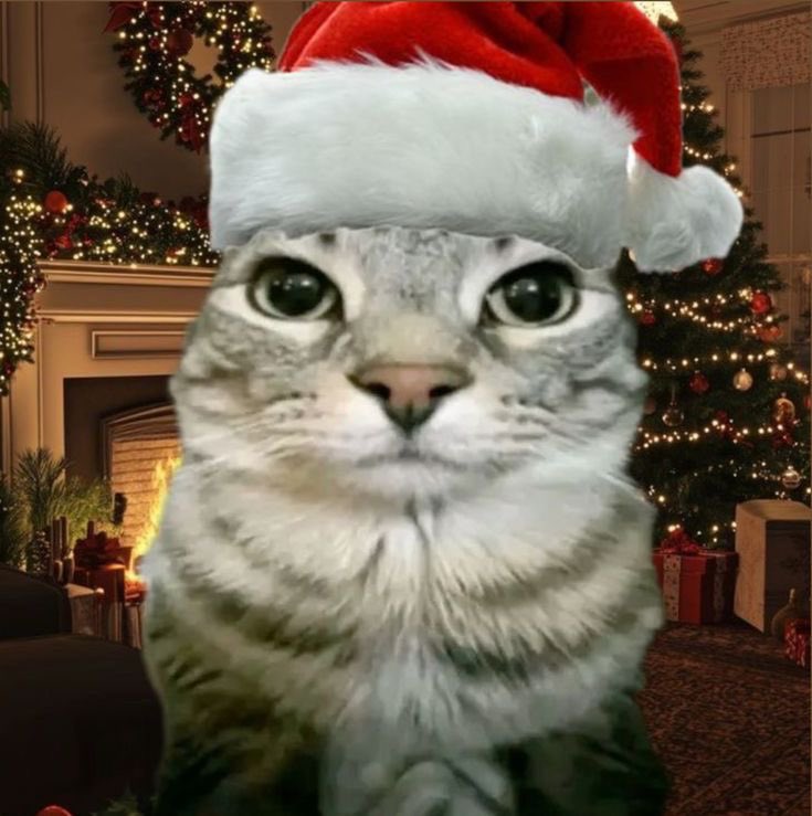 eishwhy's tweet image. Merry fucking Christmas❤️