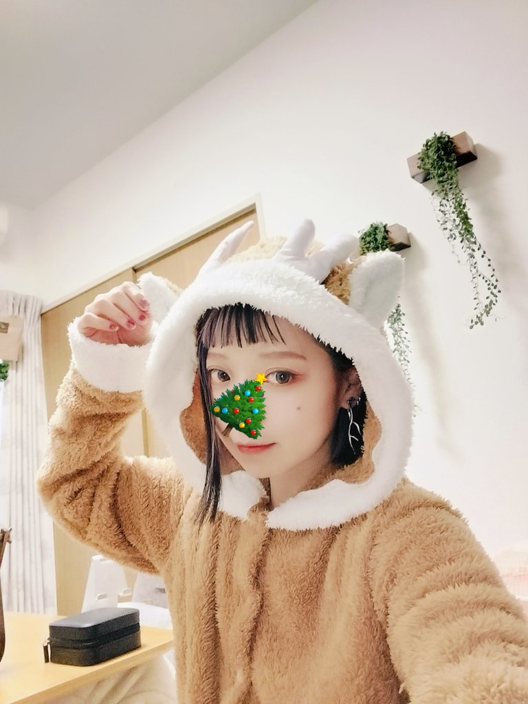 Post by みや（38） on X: トナカイ