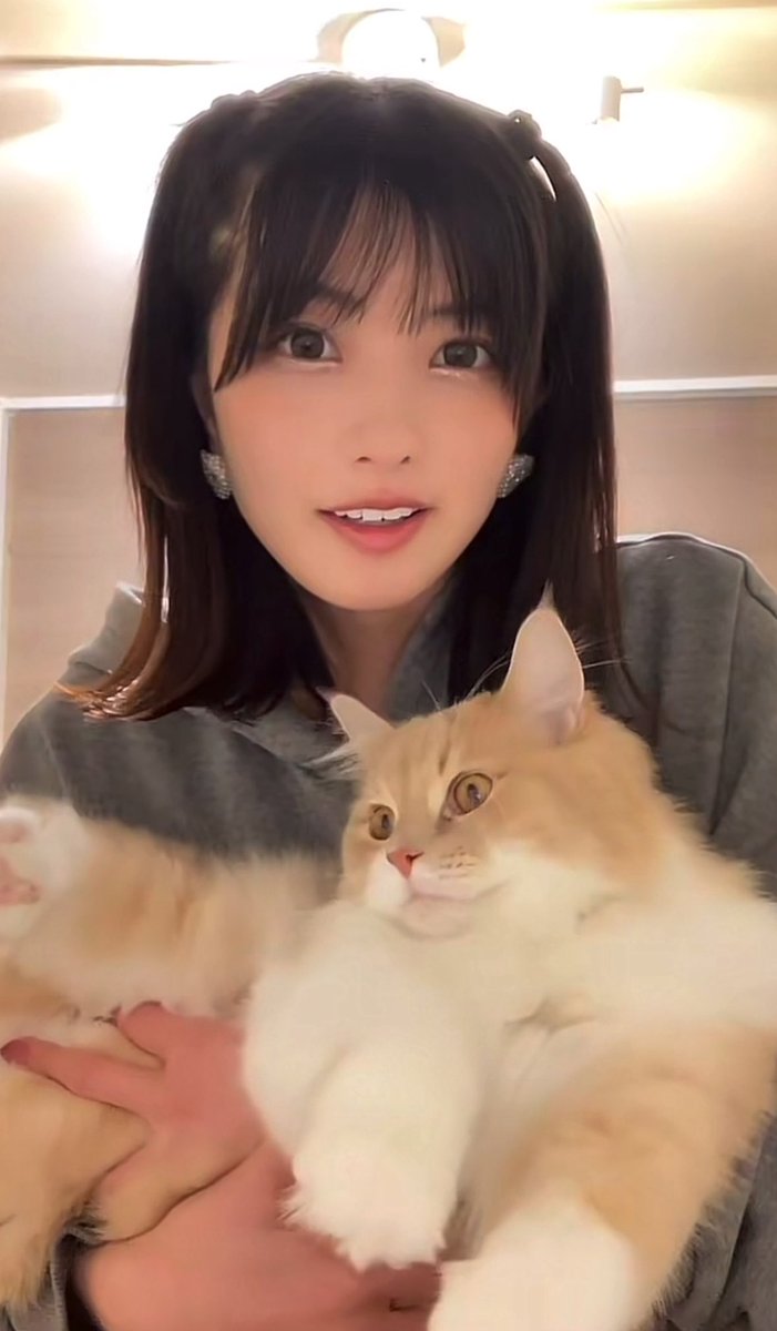 りゅうちゃん定食🍜🐝🐝🐝 (@ryuryuchan523) / Posts / X