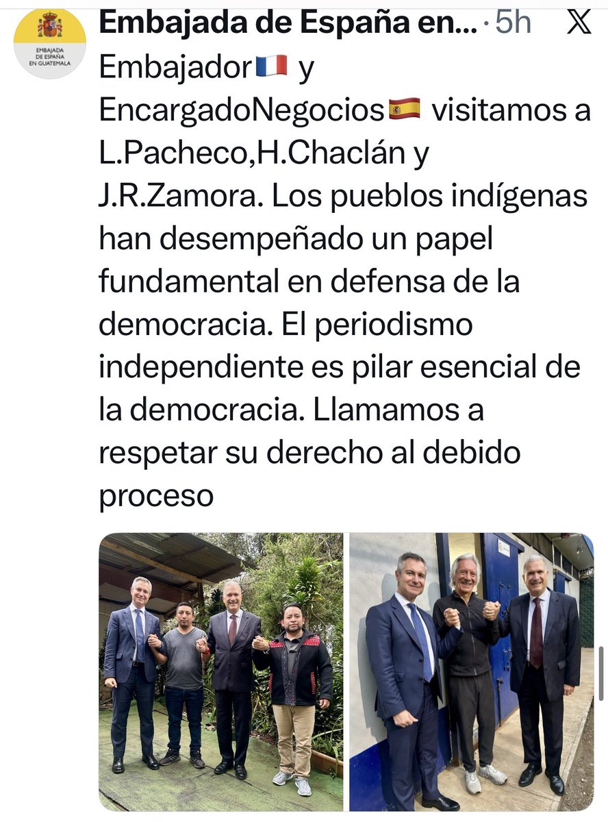 Alejandro Palmieri Waelti tweet media