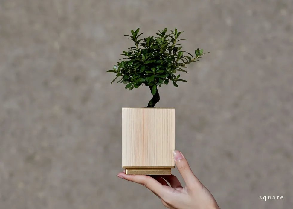 cotomonomichi's tweet image. 【受注生産/納期約1ヶ月】KINOMA flower pot
鹿沼檜と金属のコントラストが空間に彩りを与えるフラワーポット。 2号鉢をそのまま差し込むことができるので誰でも簡単にスタイリッシュな佇まいを演出することができます。皐月盆栽の職人が監修して完成したフラワーポットです。