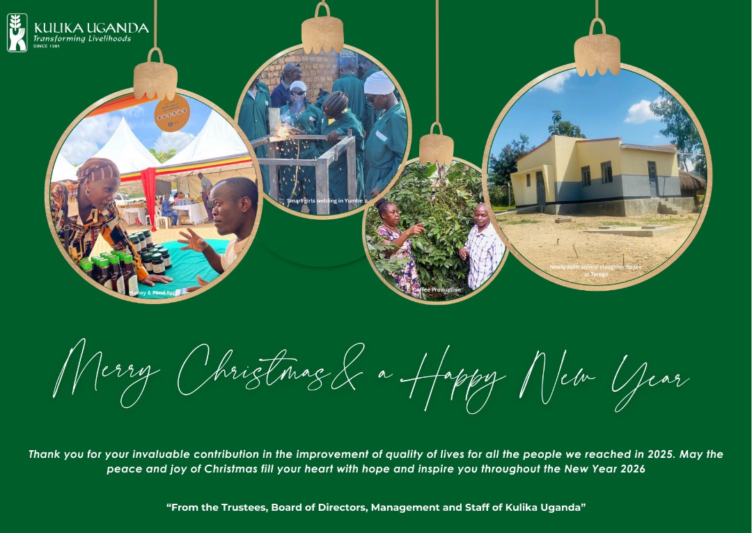 Merry Christmasto you All.