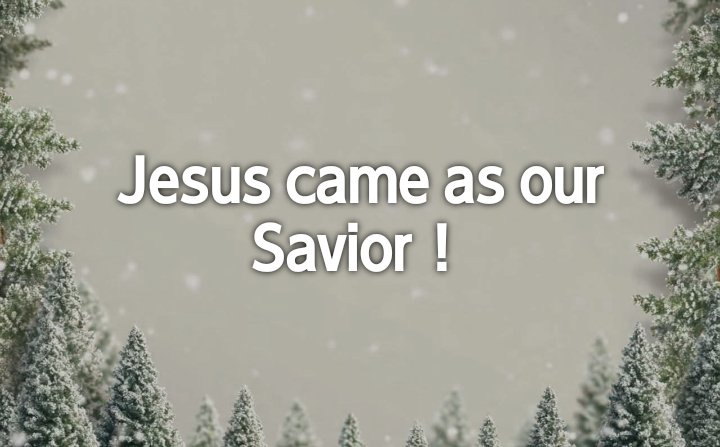 mihitade's tweet image. 皆様！いつもありがとうございます！
#Merrychristmas
#GodBlessYou