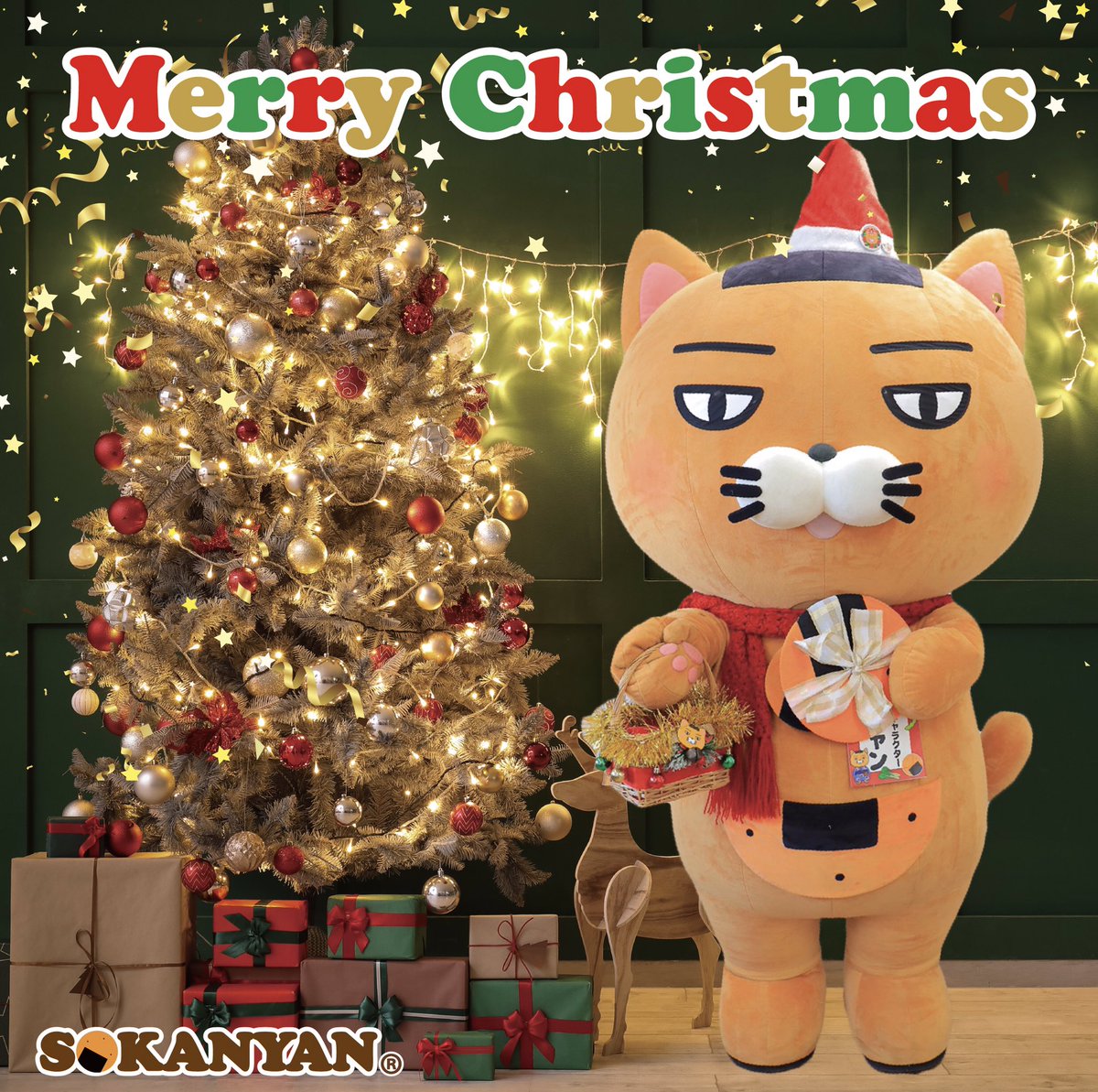 ☆特級呪霊みぃちゃん 前世→(。゜▽゜)シラミ💙 (@mii_funa0705