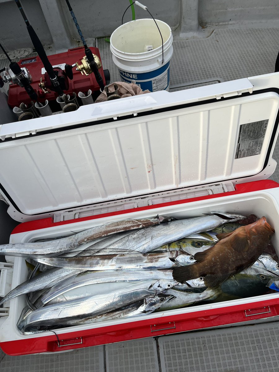 たくたく カワサキ Ninja ZX-6R KRT EDITION 2018 年12月 - 日本バイク100年史