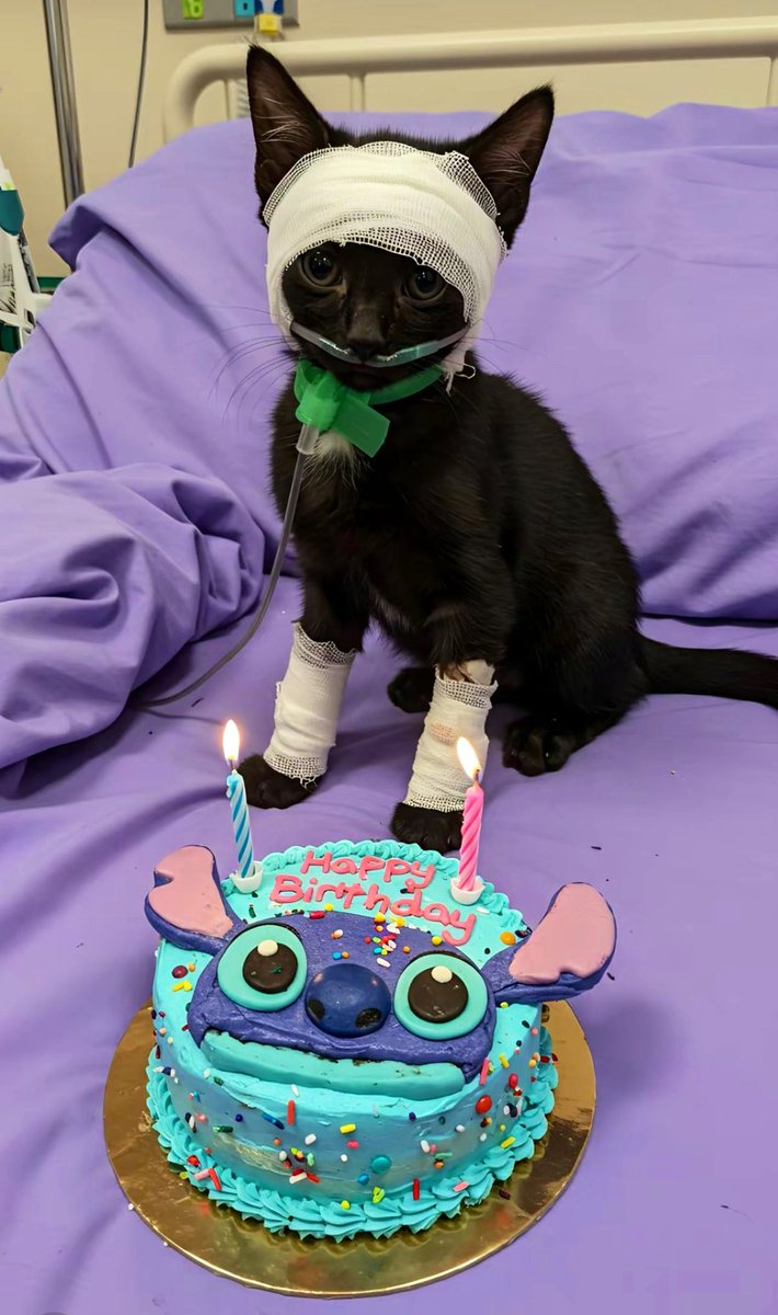 naSer (@ina9eir) on Twitter photo 