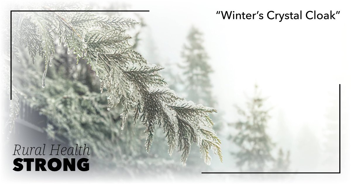 HillsdaleHosp's tweet photo. This week's Rural Health Visuals photo titled "Winter's Crystal Cloak" was submitted by Bonnie Moret Photography.

Submit your rural health photo here: https://t.co/1lK4R2nJTx. https://t.co/at1HEbphZH