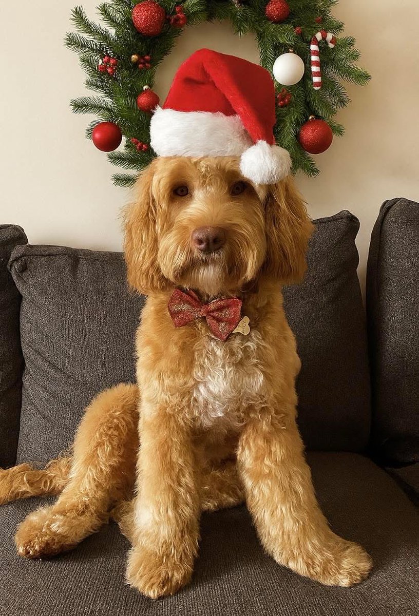 EveB 💚 tweet media