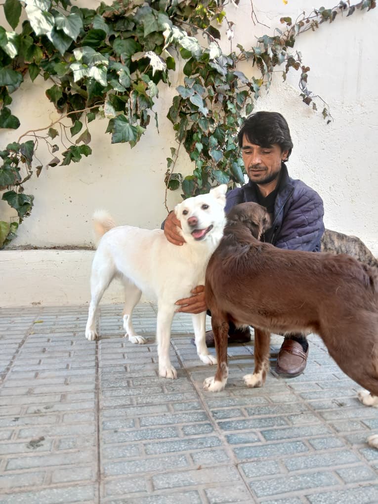 KSARshelter's tweet image. Goodwill toward men!