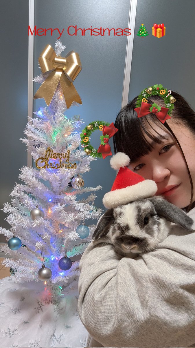 メリークリスマス🎄🎅 おはようございます☀ みなさん、サンタさんは来