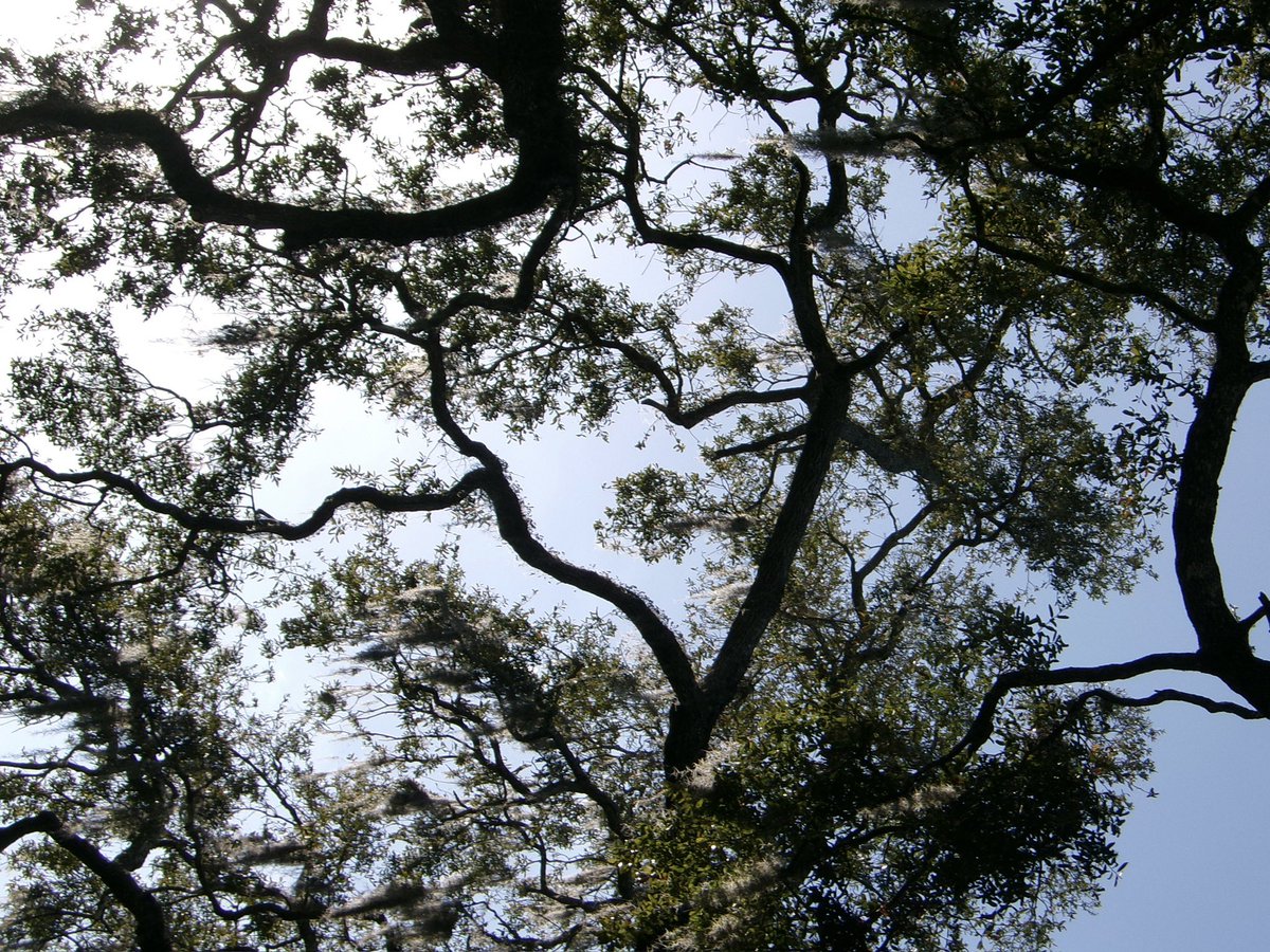 laffodiI's tweet image. love finds a way to reach me every time