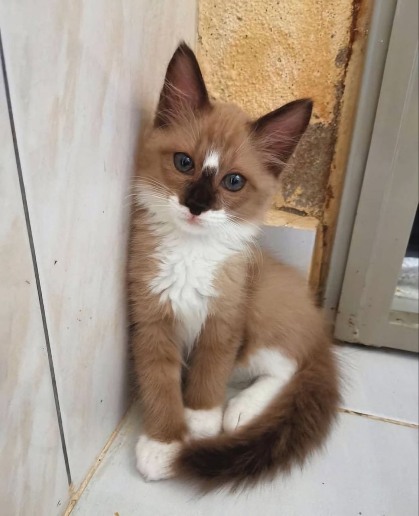 depressionlesss's tweet photo. What would you name him? https://t.co/zVdBZQrIsQ