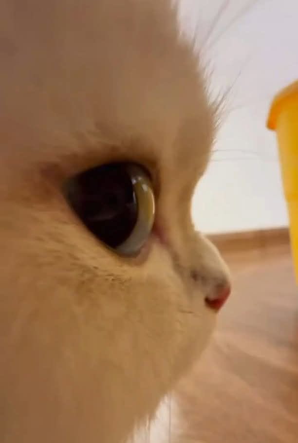 Mel🖤 (@dianataboadart) on Twitter photo 