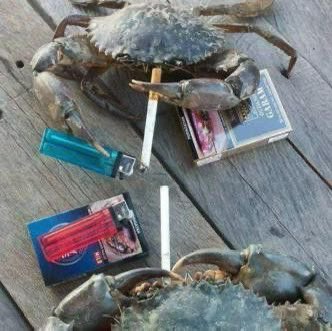 llpipi's tweet image. 