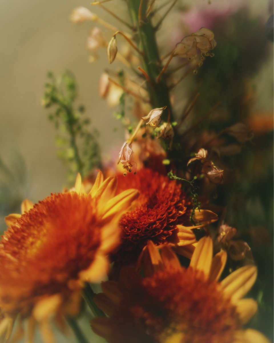 vsco's tweet image. Simrah Farrukh’s photographs carry a clarity of vision that feels instantly recognizable. Her portraits bring a thoughtful balance of mood, composition, and perspective, shaped over years of refining her approach to color and detail.

Learn more: vs.co/Jg7o/k3e80oso