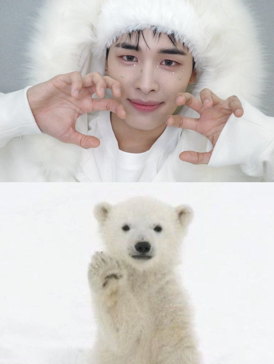 haru☆ Instagram] update HARU(1/3) 🐻‍❄️??? #NEXZ #HARU