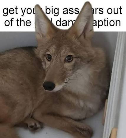 @fshflaeks 🔞 tweet media