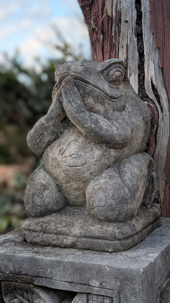 散歩してたら見つけた石のカエル