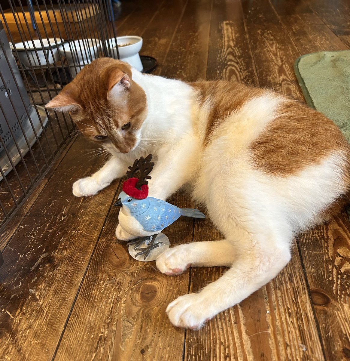 poppy🐥 (@groovy03291013) / Posts / X